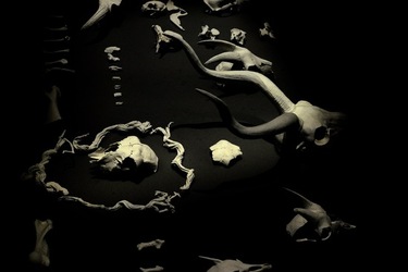 PADIGLIONE AFRICANO Biennale di Venezia. Fotografie di Giulio Azzarello &copy;2020.