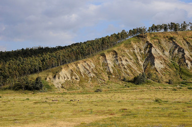 PAESAGGIO SICILIANO in provincia di Enna. Fotografie di Giulio Azzarello &copy;2014.
