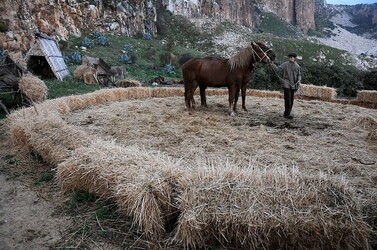 IL PRESEPE VIVENTE DI CUSTONACI in Sicilia. Fotografie di Giulio Azzarello ©2014. IL PRESEPE VIVENTE DI CUSTONACI in Sicilia. Fotografie di Giulio Azzarello ©2014.