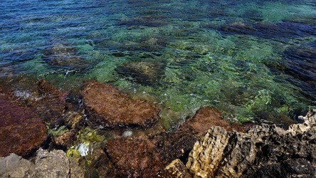 BAIA DEL CORALLO. Fotografie di Giulio Azzarello &copy;2022.
