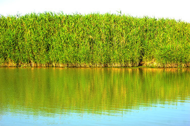 CANNETI in SICILIA. Fotografie di Giulio Azzarello &copy;2016.