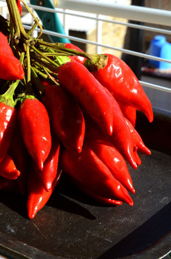 PEPERONCINO fotografie di Giulio Azzarello ©2014. PEPERONCINO fotografie di Giulio Azzarello ©2014.