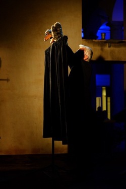 HORACIO PERALTA fotografie di Giulio Azzarello ©2020.