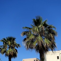 PALERMO. Fotografie di Giulio Azzarello ©2022. PALERMO. Fotografie di Giulio Azzarello ©2022.