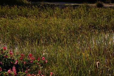 PAESAGGIO SICILIANO nel luogo delle macalube in Sicilia. Fotografie di Giulio Azzarello &copy;2014.