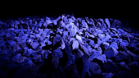 PALAZZO RISO Palermo. Fotografie di Giulio Azzarello ©2020. PALAZZO RISO Palermo. Fotografie di Giulio Azzarello ©2020.