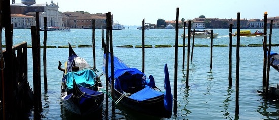 VENEZIA fotografie di Giulio Azzarello &copy;2019.