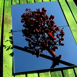 SPECCHIATI. Fotografia di Giulio Azzarello ©2023. SPECCHIATI. Fotografia di Giulio Azzarello ©2023.