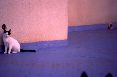 DIGITALIZZAZIONI fotografie di Giulio Azzarello &copy;2020.