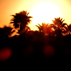 SELINUNTE. Fotografie di Giulio Azzarello ©2022. SELINUNTE. Fotografie di Giulio Azzarello ©2022.