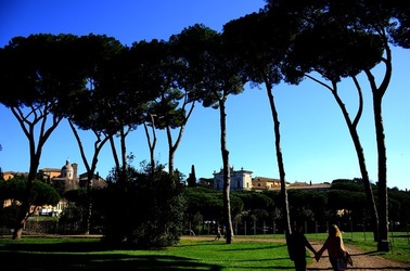 PARCO ARCHEOLOGICO DEL PALATINO Roma. Fotografie di Giulio Azzarello ©2020.