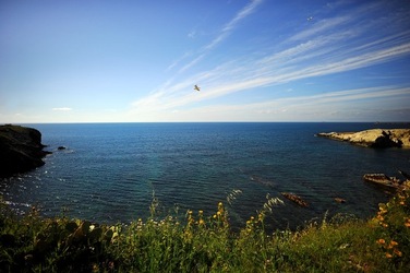 PAESAGGIO SICILIANO Terrasini. Fotografie di Giulio Azzarello &copy;2018.