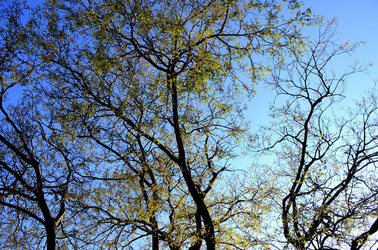 GOLE DELL ALCANTARA in Sicilia. Fotografie di Giulio Azzarello &copy;2016.