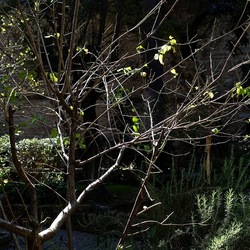 Arabo Normanno. Fotografie di Giulio Azzarello ©2024. Arabo Normanno. Fotografie di Giulio Azzarello ©2024.