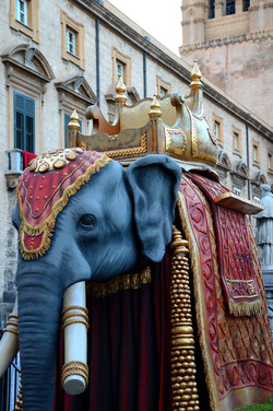 SANTA ROSALIA il festino della patrona di Palermo alcuni momenti. Fotografie di Giulio Azzarello ©2014. SANTA ROSALIA il festino della patrona di Palermo alcuni momenti. Fotografie di Giulio Azzarello ©2014.