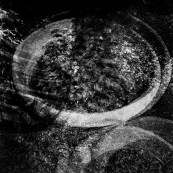 ROSE fotografie di Giulio Azzarello ©2021. ROSE fotografie di Giulio Azzarello ©2021.