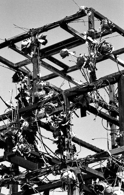 BIANCO NERO. Fotografie di Giulio Azzarello ©2021. BIANCO NERO. Fotografie di Giulio Azzarello ©2021.