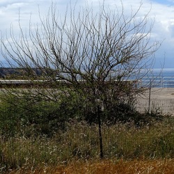 TERRASINI. Fotografie di Giulio Azzarello &copy;2022.