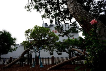 BIENNALE ARTI CONTEMPORANEE DI VENEZIA fotografie di Giulio Azzarello ©2020.