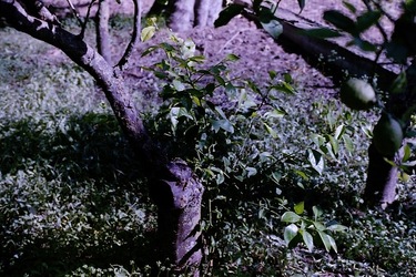 DIGITALIZZAZIONI fotografie di Giulio Azzarello &copy;2020.