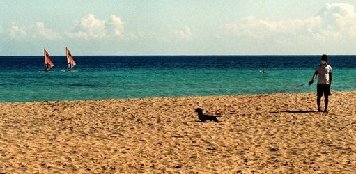 MONDELLO fotografie di Giulio Azzarello ©2021. MONDELLO fotografie di Giulio Azzarello ©2021.