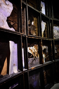 PADIGLIONE AFRICANO Biennale di Venezia. Fotografie di Giulio Azzarello &copy;2020.