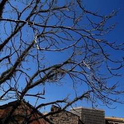 Arabo Normanno. Fotografie di Giulio Azzarello ©2024. Arabo Normanno. Fotografie di Giulio Azzarello ©2024.