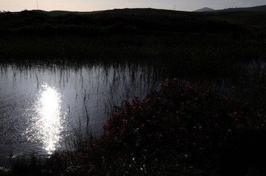 PAESAGGIO SICILIANO nel luogo delle macalube in Sicilia. Fotografie di Giulio Azzarello &copy;2014.