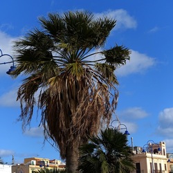 MONDELLO. Fotografe di Giulio Azzarello &copy;2023.