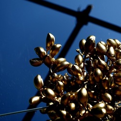 SPECCHIATI. Fotografia di Giulio Azzarello ©2023. SPECCHIATI. Fotografia di Giulio Azzarello ©2023.