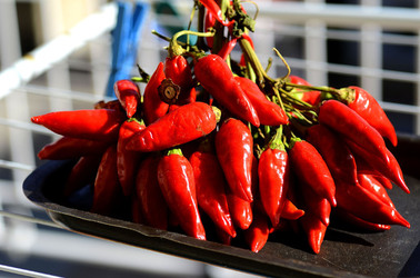 PEPERONCINO fotografie di Giulio Azzarello ©2014. PEPERONCINO fotografie di Giulio Azzarello ©2014.