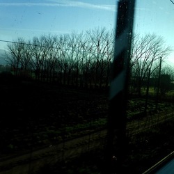 TRENO fotografie di Giulio Azzarello ©2020. TRENO fotografie di Giulio Azzarello ©2020.