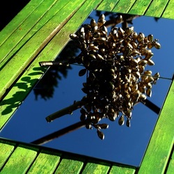 SPECCHIATI. Fotografia di Giulio Azzarello ©2023. SPECCHIATI. Fotografia di Giulio Azzarello ©2023.