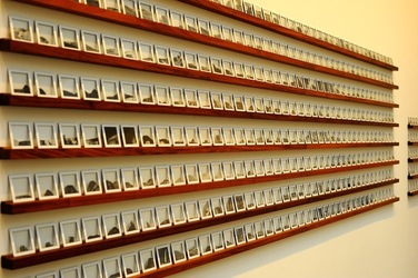 BIENNALE di VENEZIA 2017 i giardini. Fotografie di Giulio Azzarello ©2018. BIENNALE di VENEZIA 2017 i giardini. Fotografie di Giulio Azzarello ©2018.