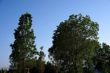 MONDELLO. Fotografie di Giulio Azzarello &copy;2023.