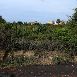 CAMMINANDO. Fotografie di Giulio Azzarello &copy;2024.