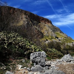 RISERVA NATURALE. Fotografie di Giulio Azzarello &copy;2022.