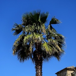 PALERMO. Fotografie di Giulio Azzarello ©2022. PALERMO. Fotografie di Giulio Azzarello ©2022.