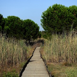 SELINUNTE. Fotografie di Giulio Azzarello ©2022. SELINUNTE. Fotografie di Giulio Azzarello ©2022.