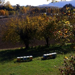 VICENZA La Rotonda di Andrea Palladio. Fotografie di Giulio Azzarello &copy;2022.