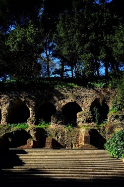 PARCO ARCHEOLOGICO DEL PALATINO Roma. Fotografie di Giulio Azzarello ©2020.