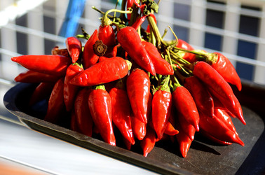 PEPERONCINO fotografie di Giulio Azzarello ©2014. PEPERONCINO fotografie di Giulio Azzarello ©2014.