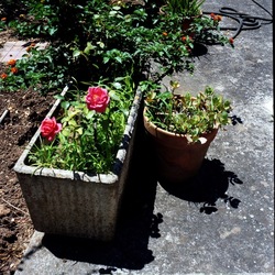 FOTO QUADRATE 6X6. Fotografie di Giulio Azzarello ©2021. FOTO QUADRATE 6X6. Fotografie di Giulio Azzarello ©2021.