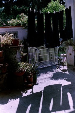 DIGITALIZZAZIONI fotografie di Giulio Azzarello &copy;2020.