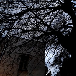 INVERNO. Fotografie di Giulio Azzarello &copy;2023.