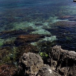 BAIA DEL CORALLO. Fotografie di Giulio Azzarello &copy;2022.
