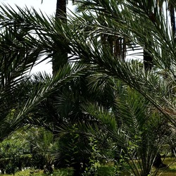 PALERMO. Fotografie di Giulio Azzarello &copy;2022.