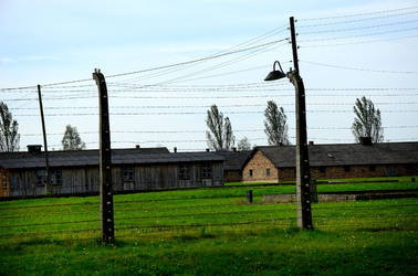 AUSCHIWITZ BIRKENAU il luogo della storia il campo. Fotografie di Giulio Azzarello &copy;2016.