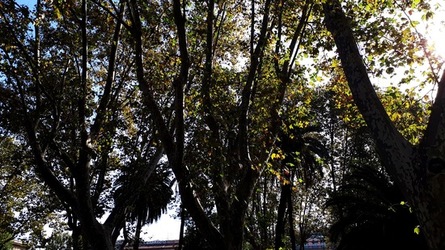 ROMA fotografie di Giulio Azzarello &copy;2022.