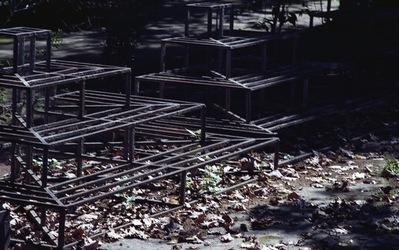 ORTO BOTANICO di Palermo. Fotografie di Giulio Azzarello ©2021.